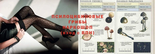 мяу мяу мука Алексин