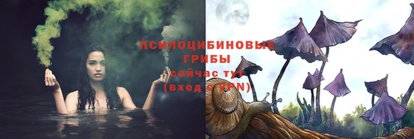 mdpv Алзамай